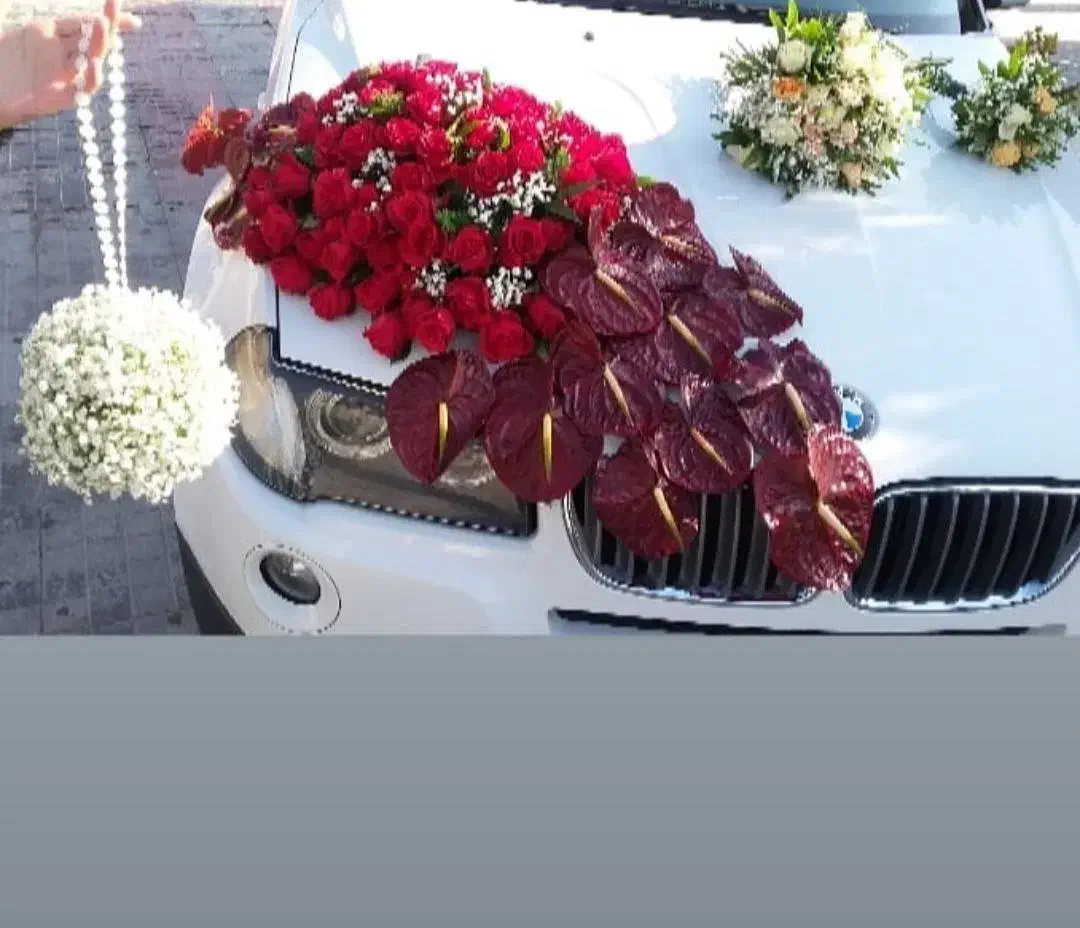 عرضه مستقیم گلدون و گیاه‌های تزئینی تازه|گل و گیاه طبیعی|فولادشهر, ورزشگاه فولادشهر|دیوار