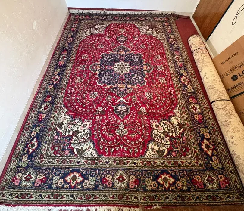 فرش دستباف|فرش|شیراز, ریشمک|دیوار