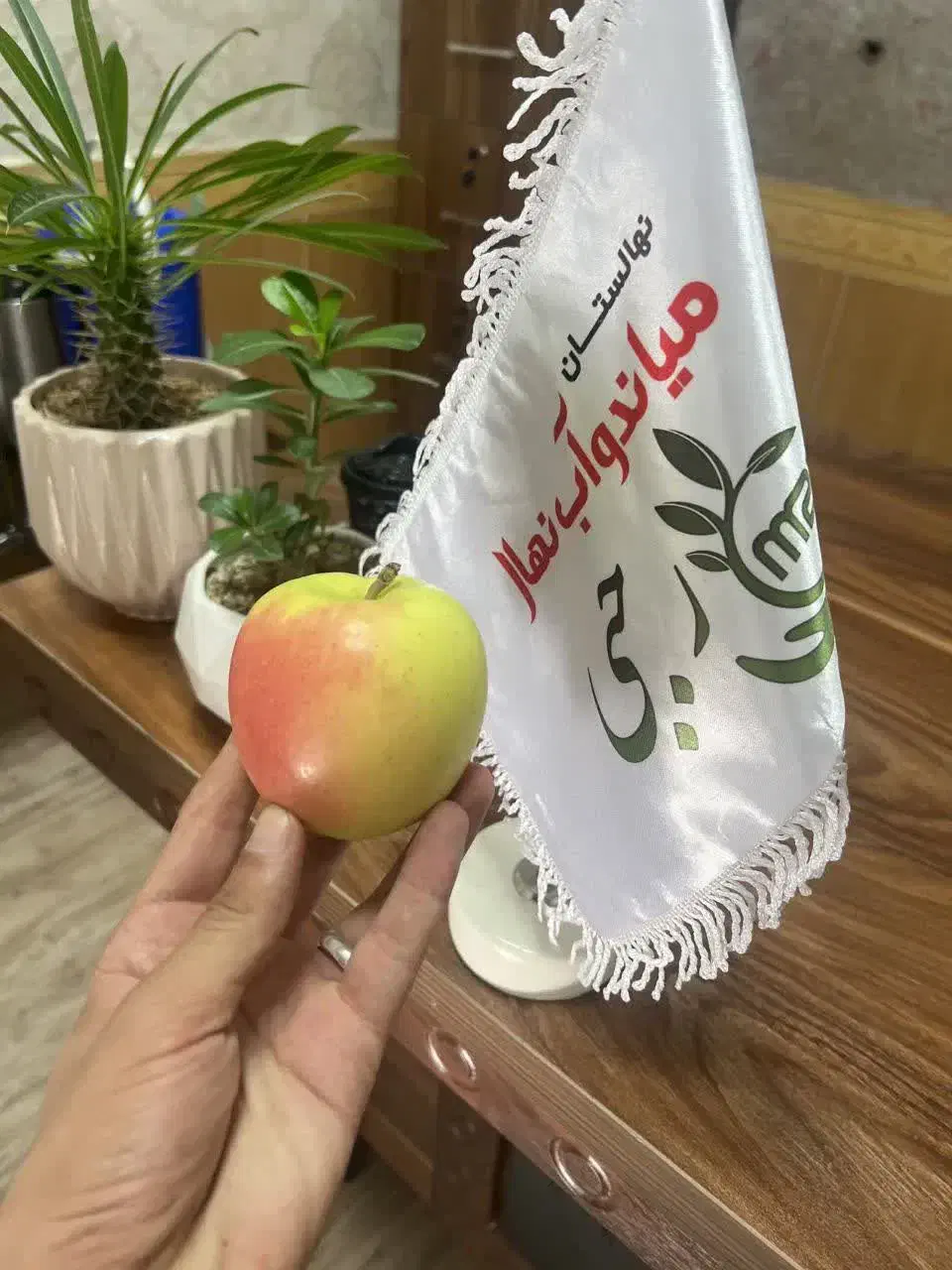 توزیع نهال سیب رندرز یکساله و دوساله|خدمات باغبانی و درختکاری|بابل, |دیوار