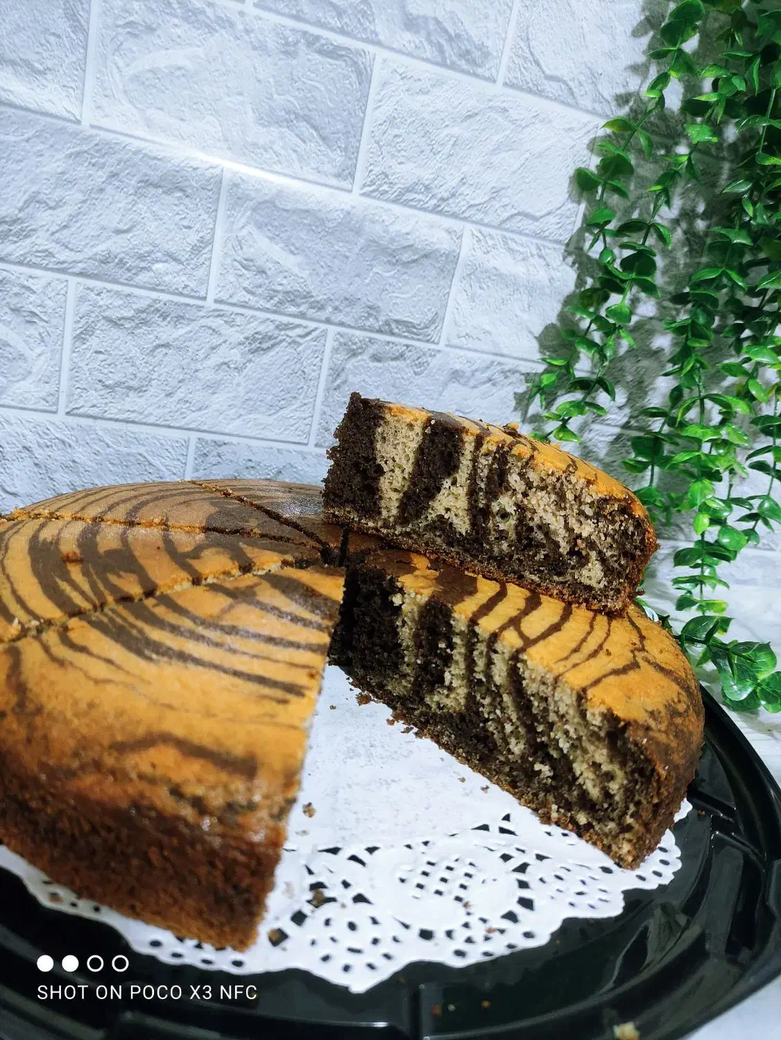 کیک های خونگی پخت روز تَر و تازه|خوردنی و آشامیدنی|شیراز, شاپورجان|دیوار