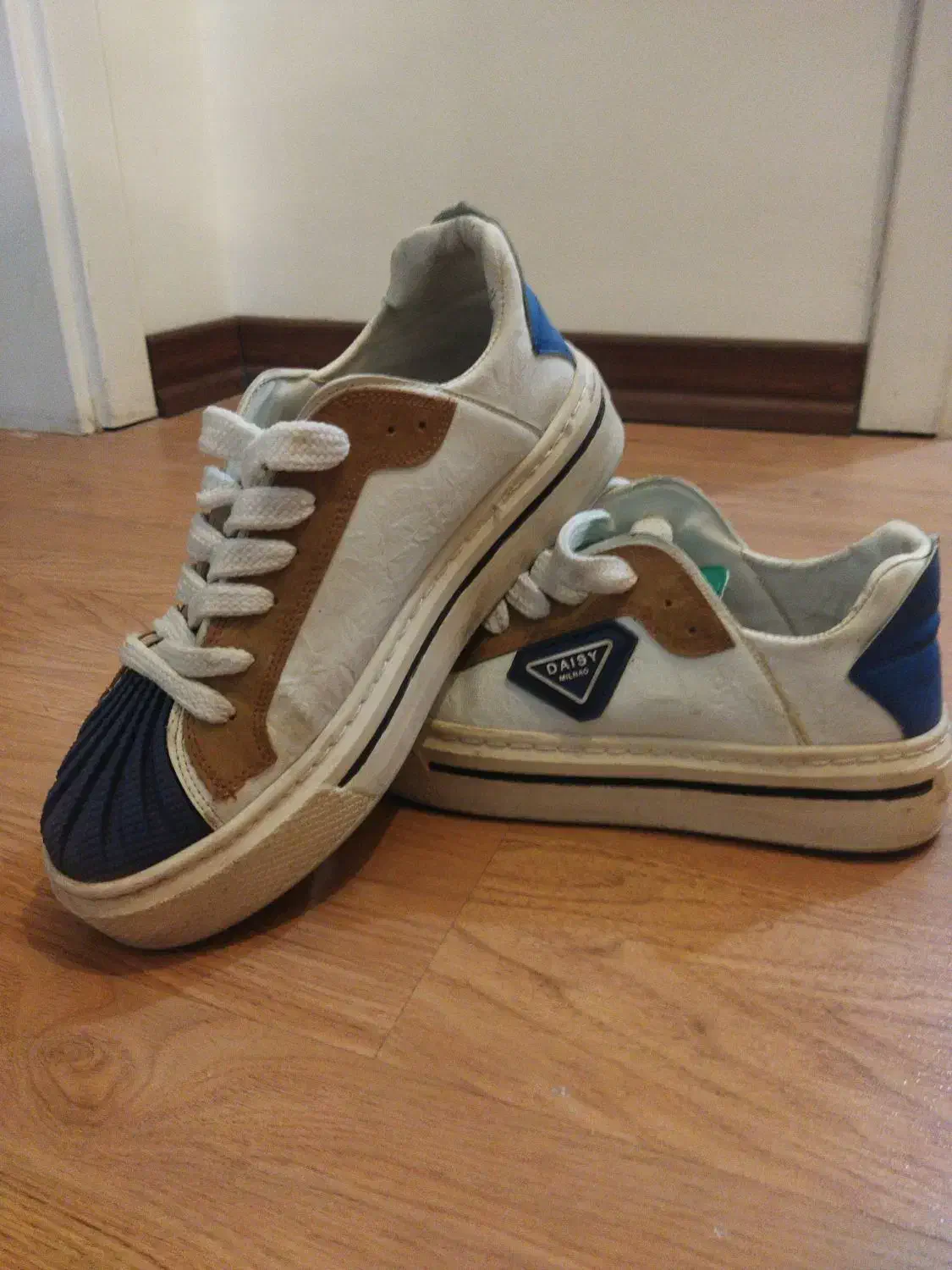 کفش ولف سایز ۴۲|کیف، کفش، کمربند|پرند, فاز ۵|دیوار