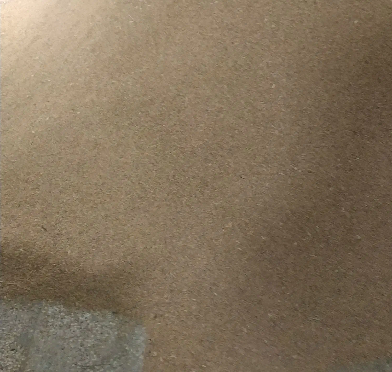 بذر گندم اوا پرمحصول|خدمات باغبانی و درختکاری|گنبد کاووس, |دیوار