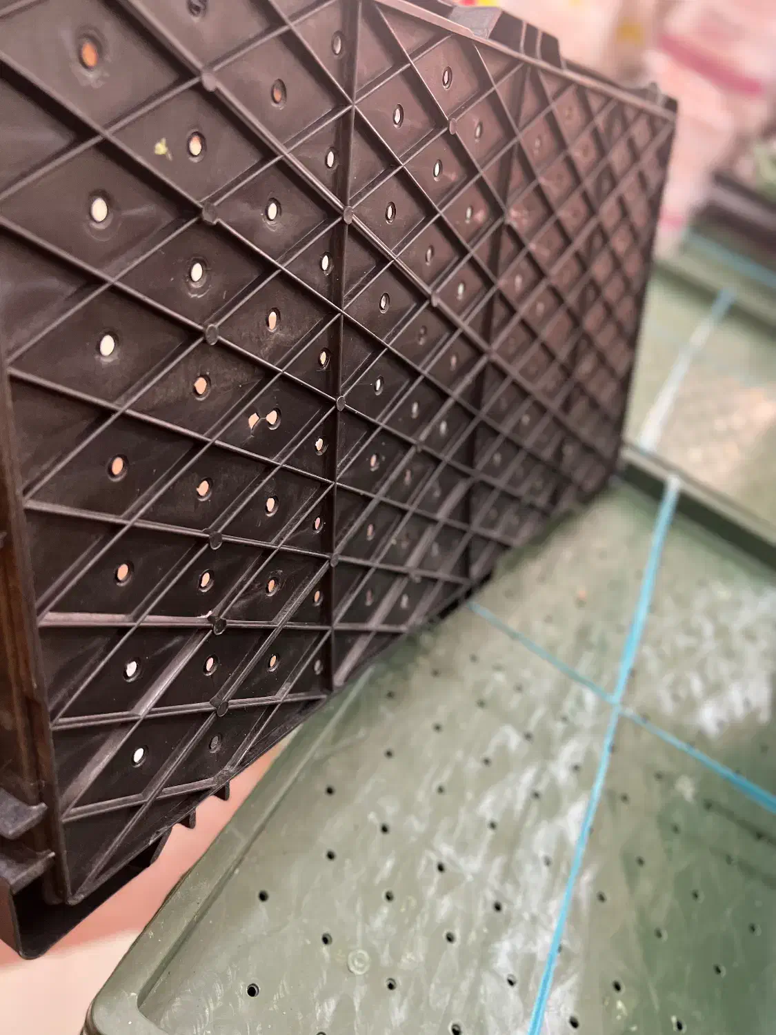 تولیدی سینی نشا آستانه اشرفیه|عمده‌فروشی|آستانه اشرفیه, |دیوار