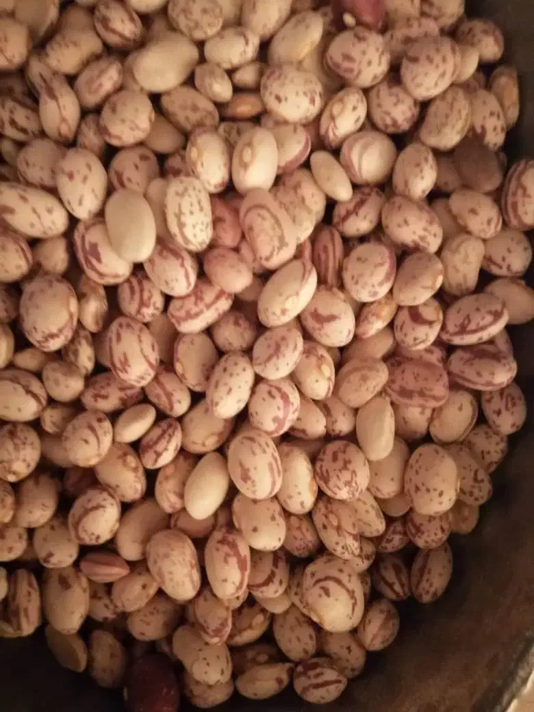 فروش حبوبات عسل کشمش برنج وخرده فجر باکیفیت|خوردنی و آشامیدنی|صدرا-فارس, فاز ۲|دیوار