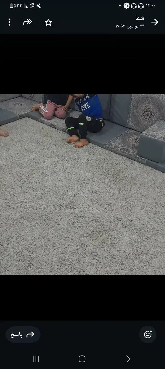 پالاز موکت|موکت|شوش, |دیوار