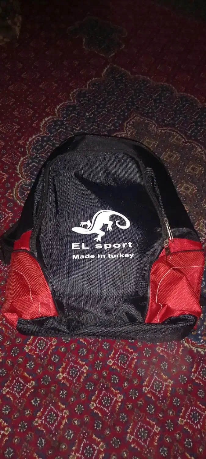 کوله و ساک باشگاه|کیف، کفش، کمربند|کاشان, باغ ماجد|دیوار