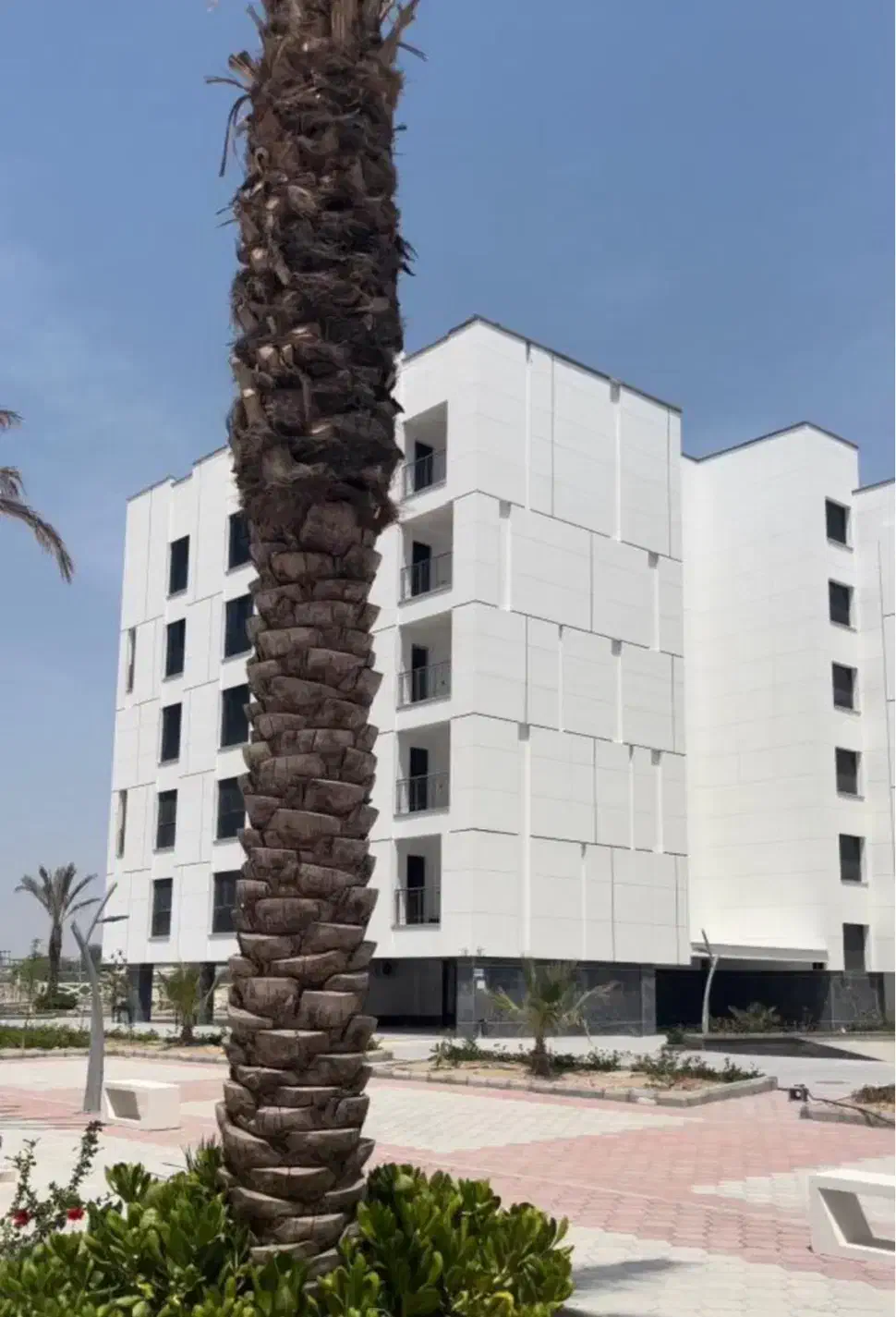 ۶۵ متر تک خواب مجتمع ارگ مرجان|فروش آپارتمان|کیش, |دیوار