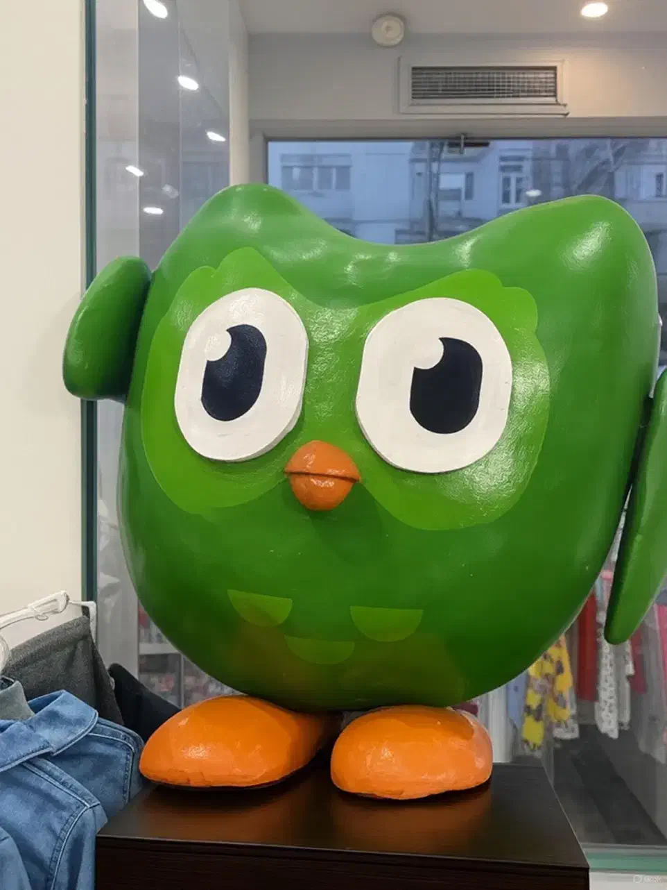 ماکت ویترینی|مجسمه، تندیس، ماکت|قزوین, |دیوار