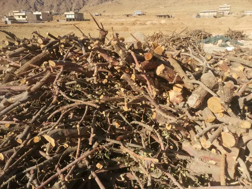 چوب سیب|خدمات باغبانی و درختکاری|اصفهان, باغ زرشک|دیوار