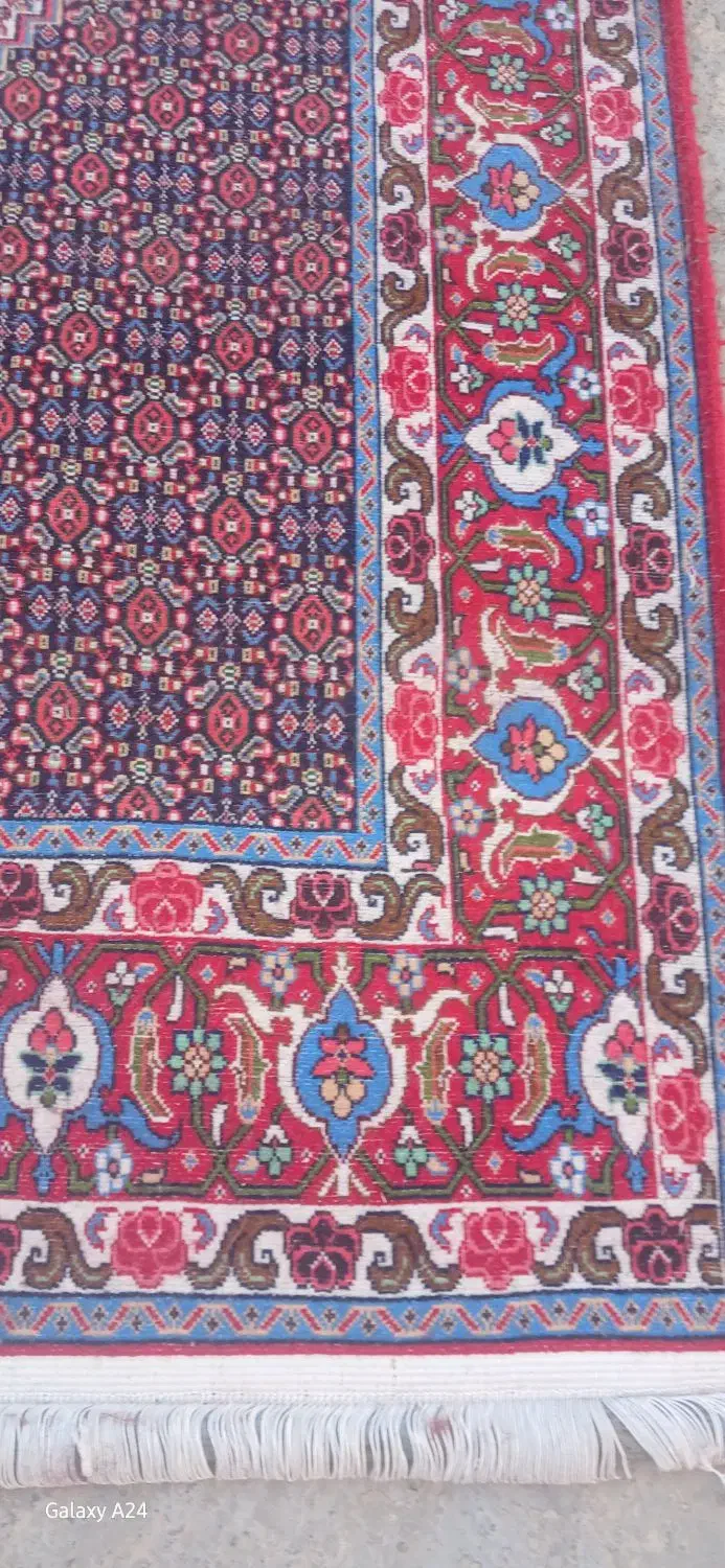 دو عدد قالی دستباف کلاو فرنگ|فرش|سنندج, |دیوار