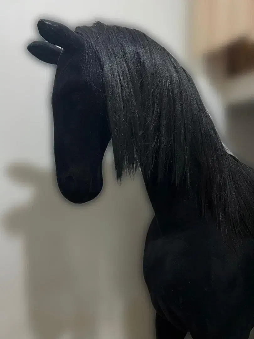 مجسمه اسب|مجسمه، تندیس، ماکت|ارومیه, |دیوار