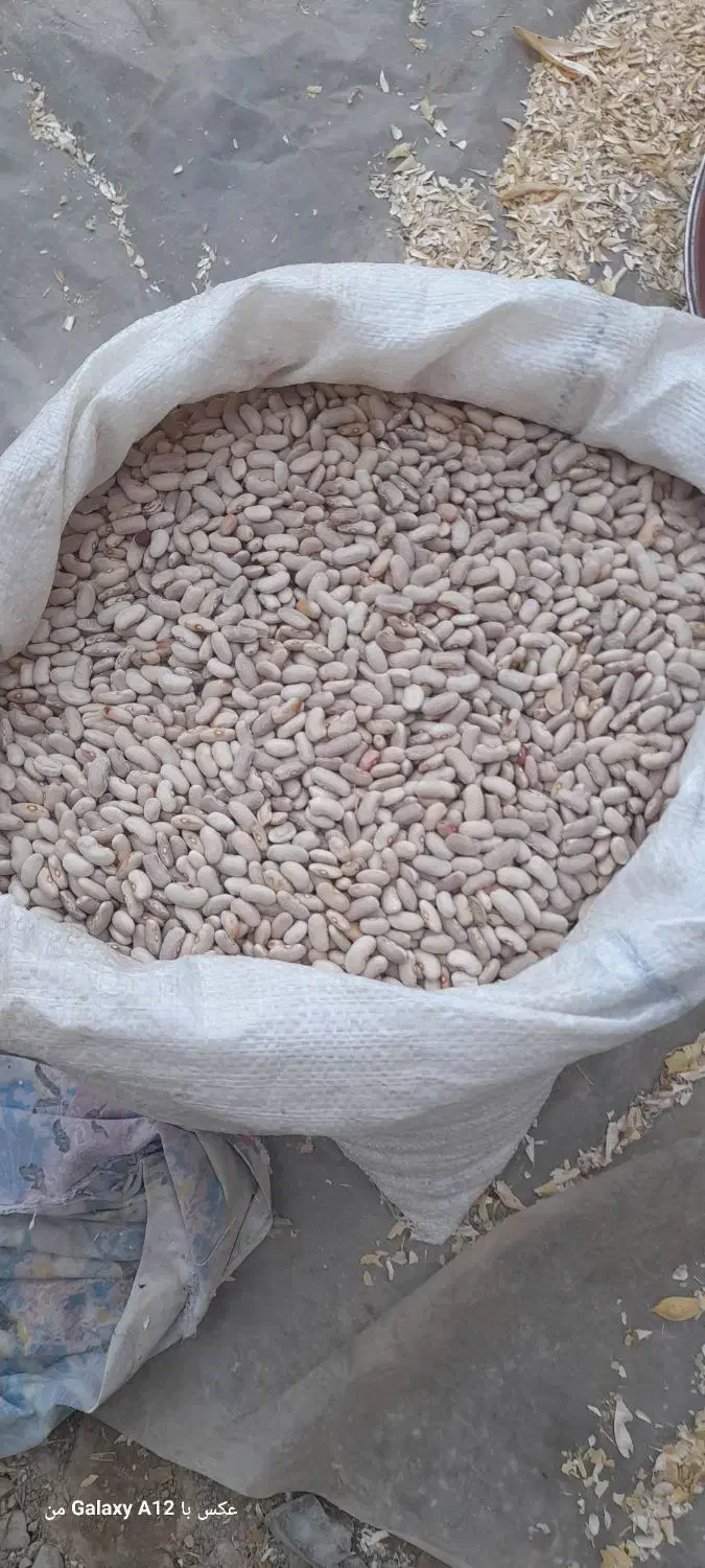 لوبیا|عمده‌فروشی|چناران, |دیوار