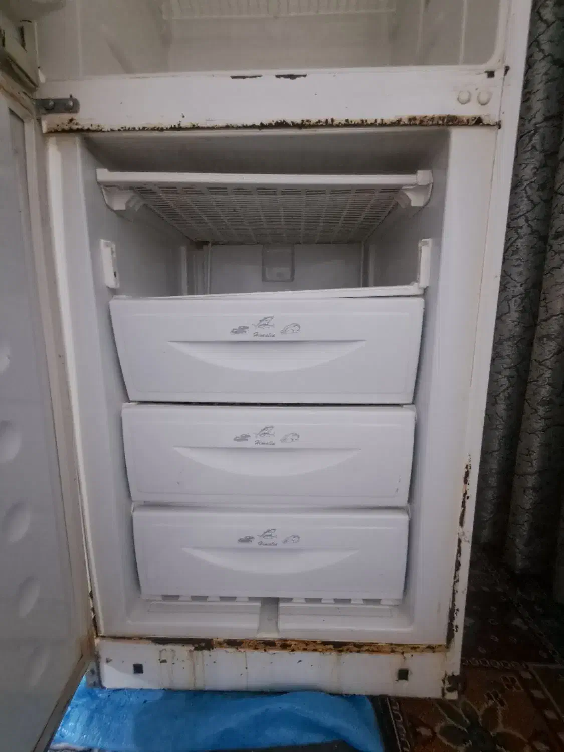 یخچال|یخچال و فریزر|مشهد, همت آباد|دیوار