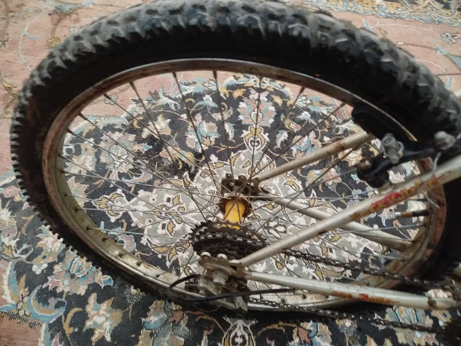 دوچرخه 24|دوچرخه، اسکیت، اسکوتر|شیراز, کرونی(خاتونک)|دیوار