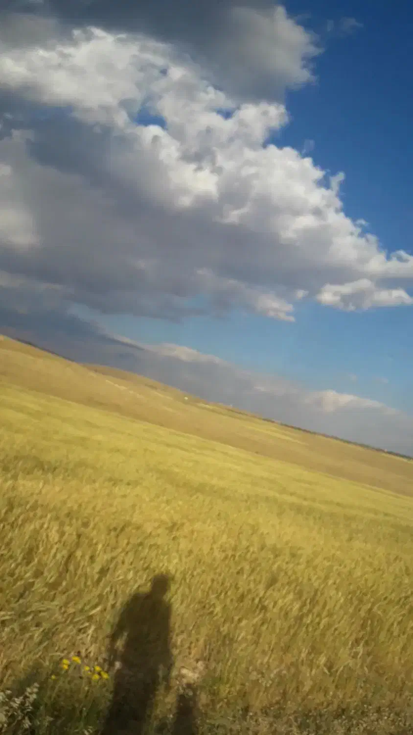 اجاره ۳ هکتار|اجارهٔ دفتر صنعتی، کشاورزی، تجاری|مرند, |دیوار