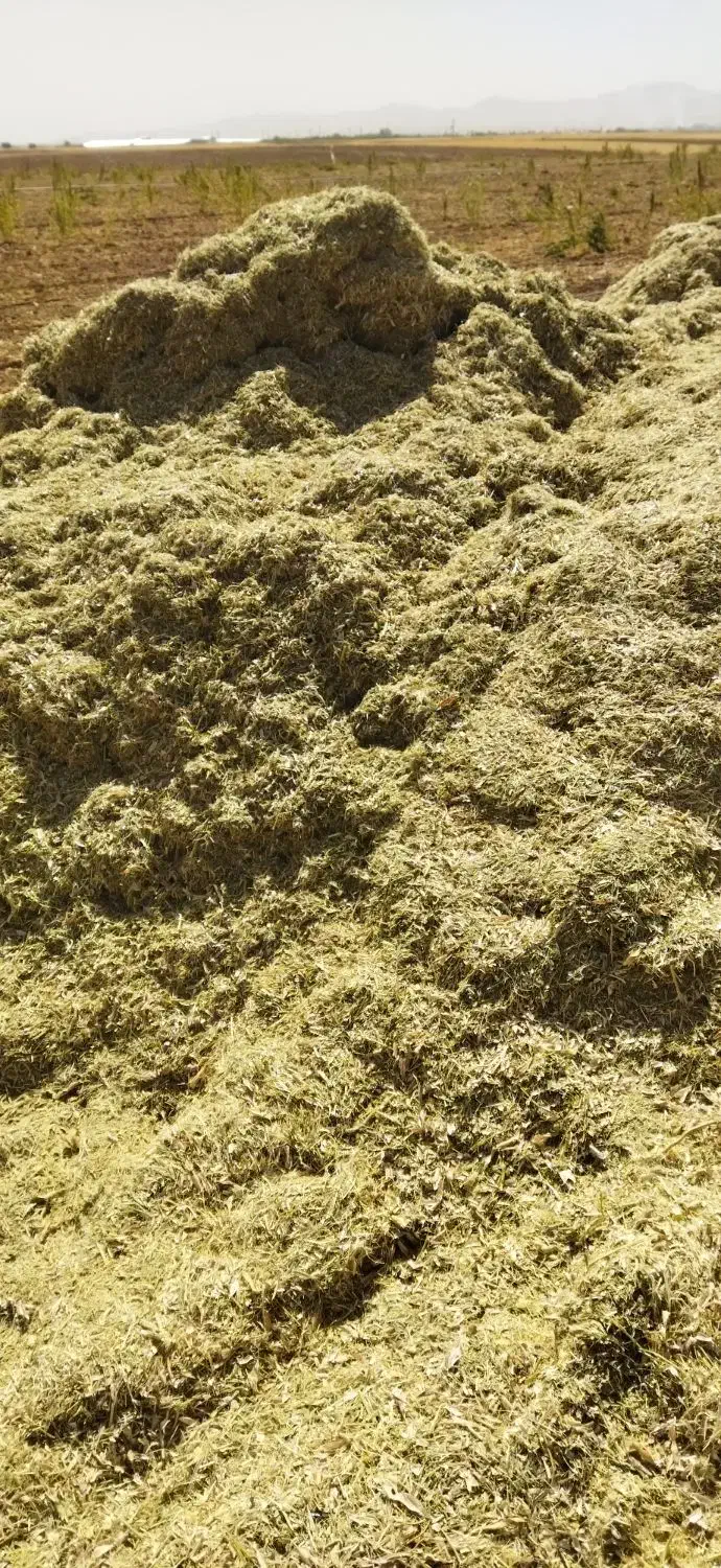 کاه وکاه لوبیا|لوازم جانبی حیوانات|کبودرآهنگ, |دیوار