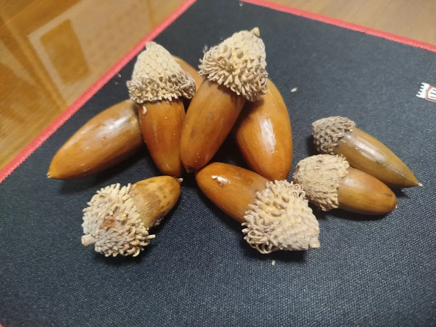 بلوط شب یلدا|خوردنی و آشامیدنی|کهک, |دیوار