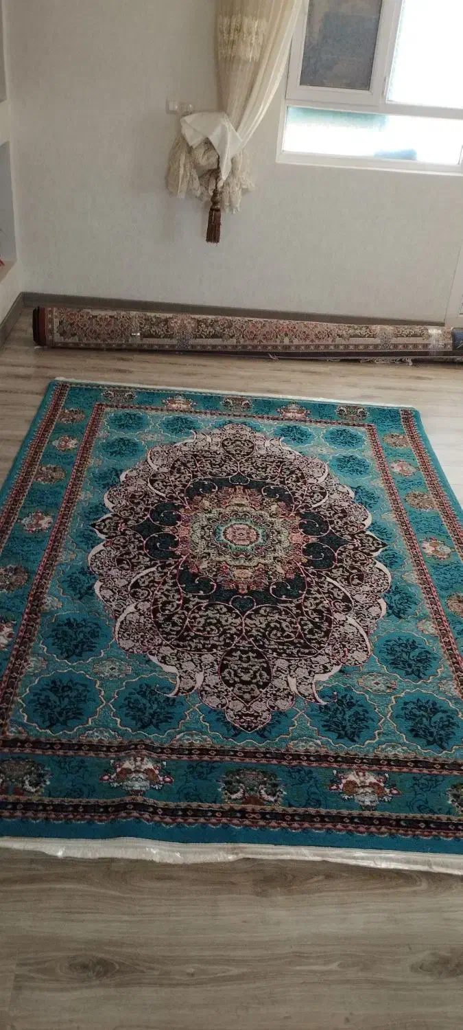 قالی در حد نو|فرش|کوهبنان, |دیوار