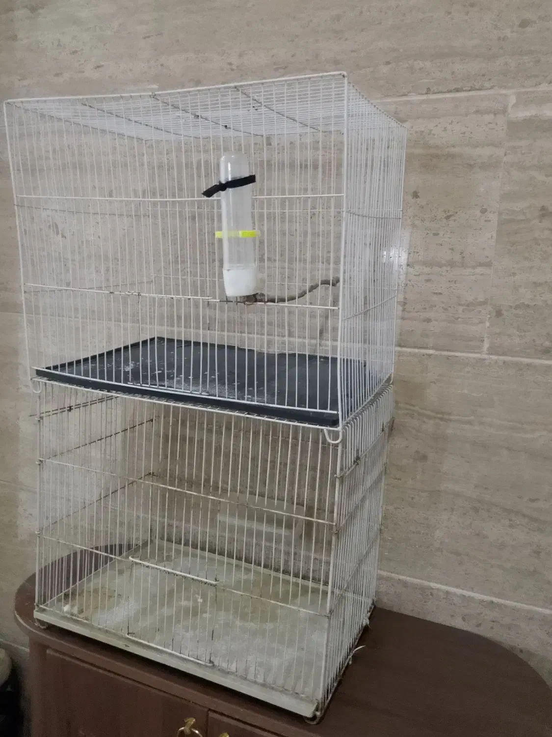 قفس پرنده معاوضه با جوجه عروس سرلاکی|لوازم جانبی حیوانات|مشهد, شهرک ابوذر|دیوار