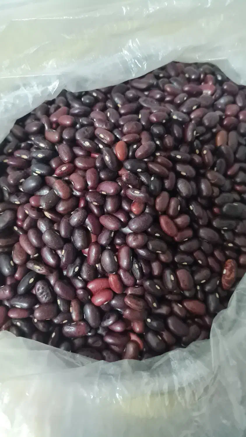 لوبیا قرمز|خوردنی و آشامیدنی|اصفهان, کوی گلزار|دیوار