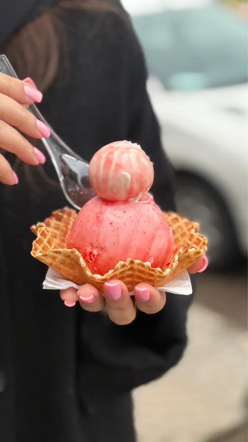 نیروی وارد به کار آبمیوه و بستنی ( خانم یا آقا)|استخدام خدمات فروشگاه و رستوران|خمام, |دیوار