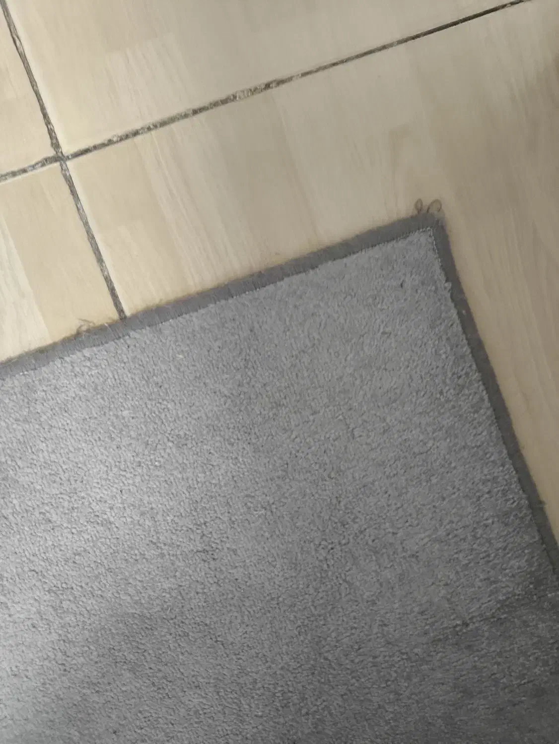 موکت|موکت|قزوین, |دیوار