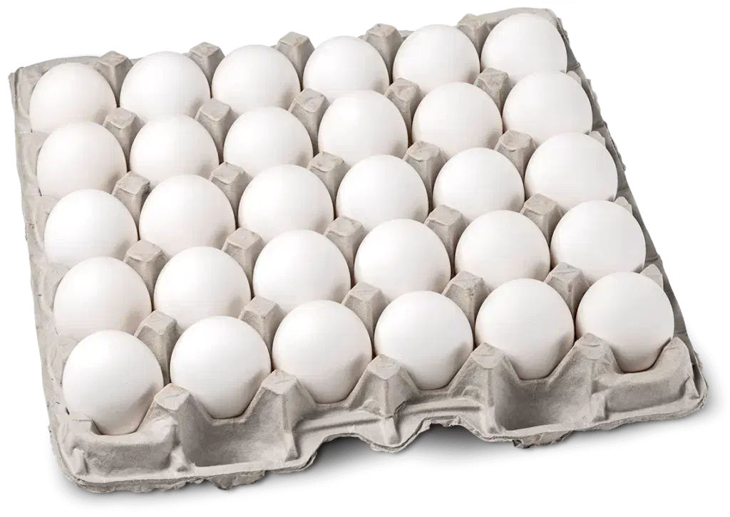 پخش تخم مرغ غرب تهران|خوردنی و آشامیدنی|تهران, زیبادشت|دیوار