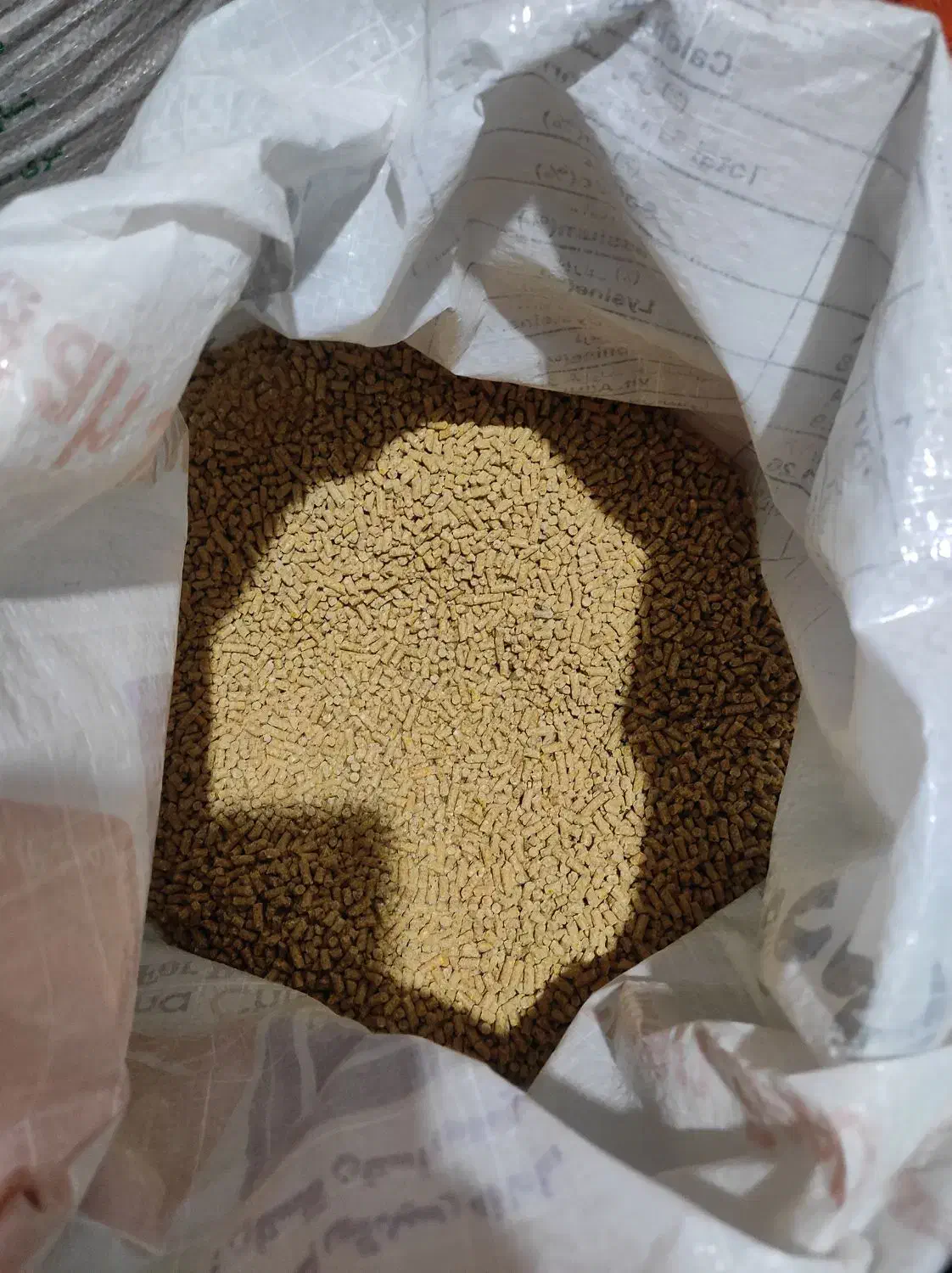 دانه مرغ|عمده‌فروشی|خان ببین, |دیوار