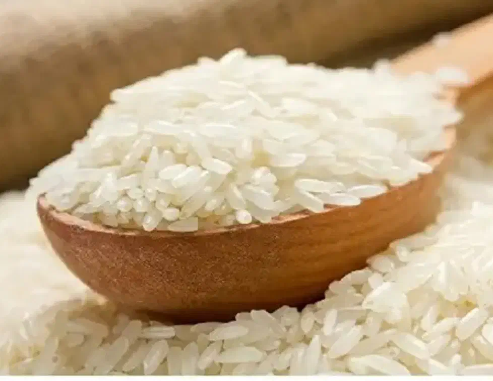 برنج کامفیروزی بکیان|خوردنی و آشامیدنی|شیراز, کوشک میدان|دیوار