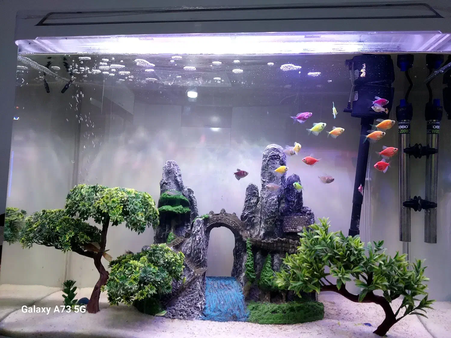 اکواریوم شیشه خم|ماهی|اسلامشهر, شهرک قائمیه|دیوار