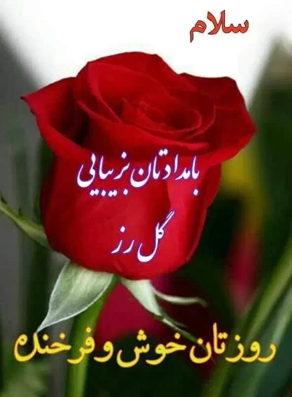 همکاری داوطلبانه ایده|فعالیت داوطلبانه|خمینیشهر, |دیوار