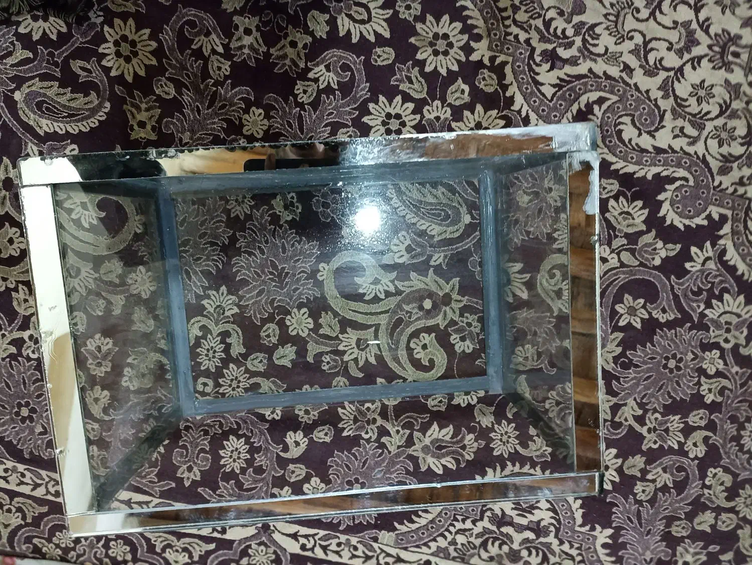 آکواریوم|ماهی|مبارکه, |دیوار