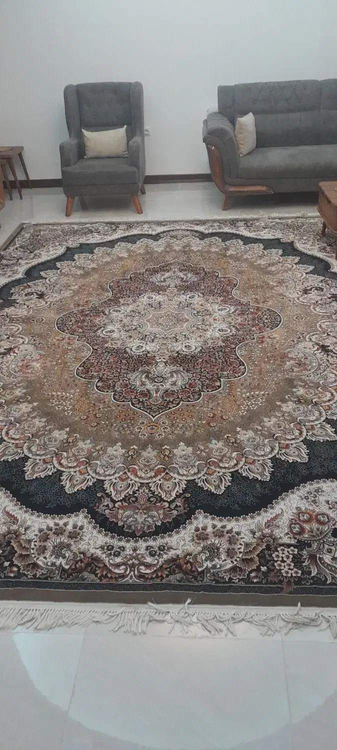 فروش فرش ۱۲ متری|فرش|ساری, |دیوار