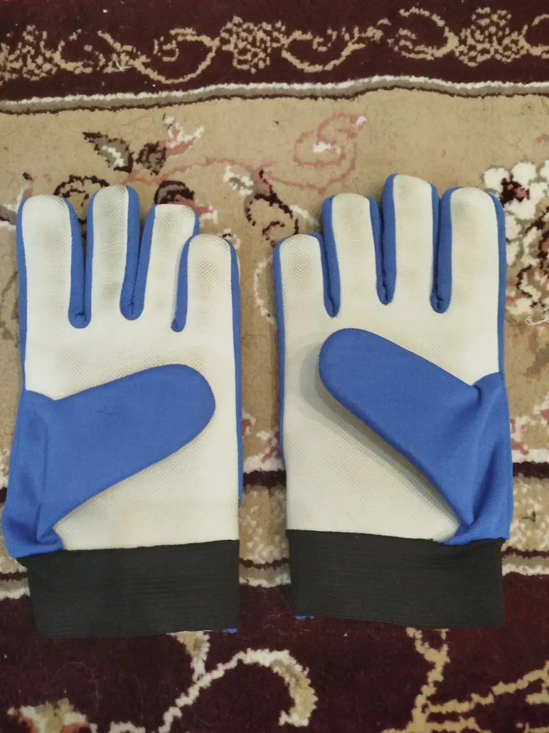 دستکش دروازه بانی|تجهیزات ورزشی|صدرا-فارس, فاز ۱|دیوار