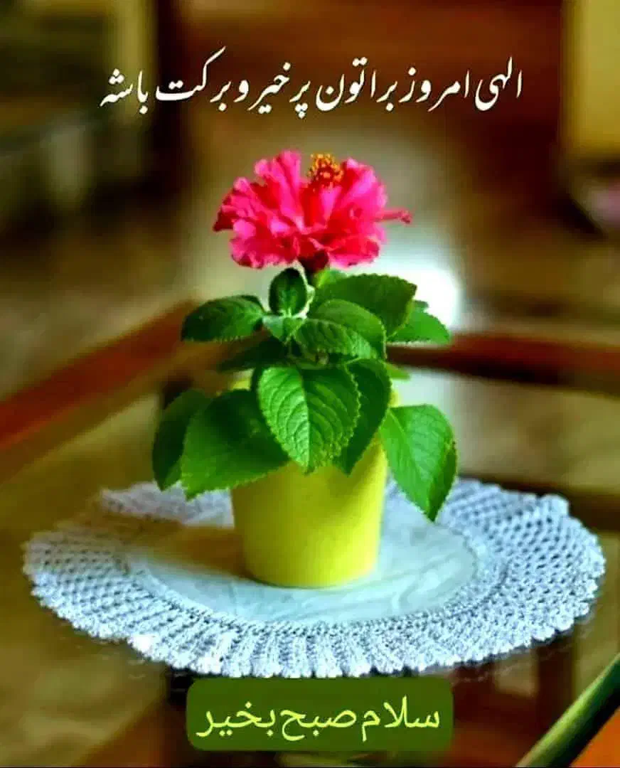 اجاره زمین کشاورزی|اجارهٔ دفتر صنعتی، کشاورزی، تجاری|دلگان, |دیوار