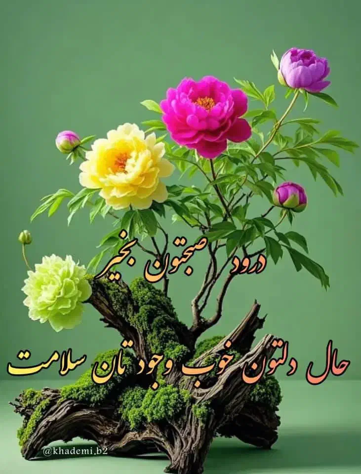 فیش حج تمتع ۸۵|تور و چارتر|بسطام, |دیوار