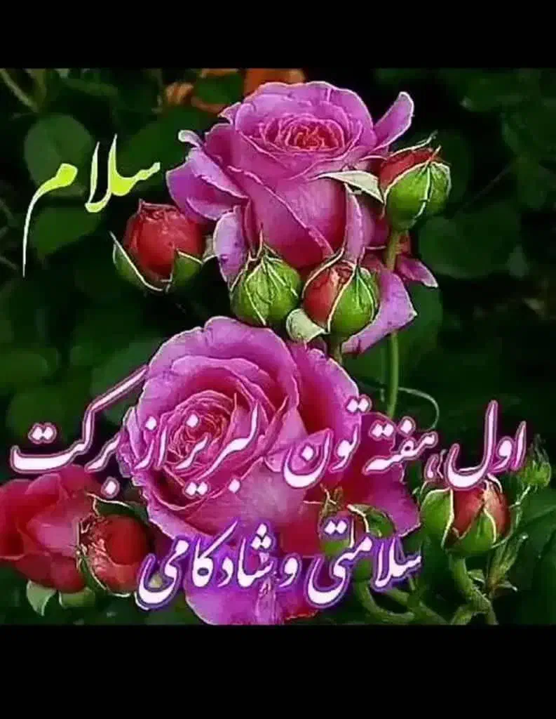 زمین جهت مشارکت|مشارکت در ساخت املاک|رودسر, |دیوار