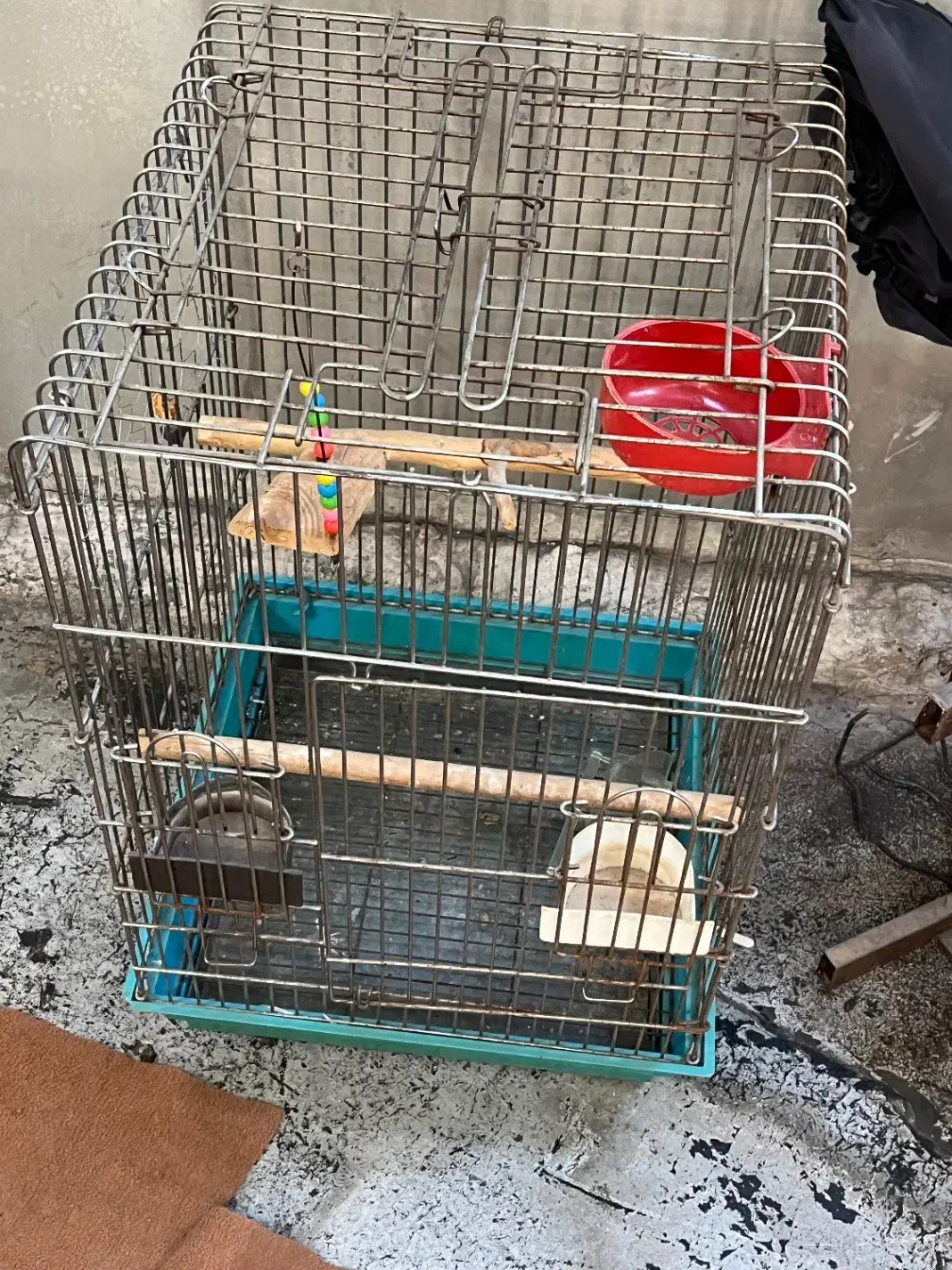 قفس طوطی|لوازم جانبی حیوانات|ری, دیلمان|دیوار