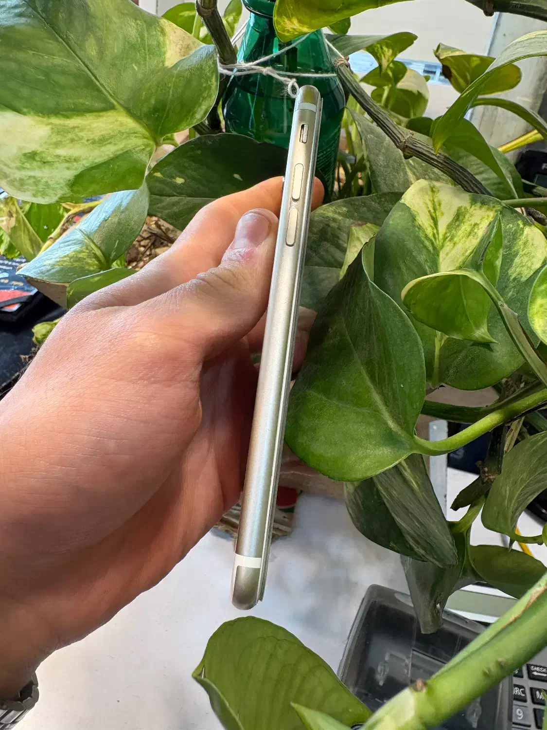 گوشی ایفون6 سیکس|موبایل|مشهد, ویلاشهر|دیوار