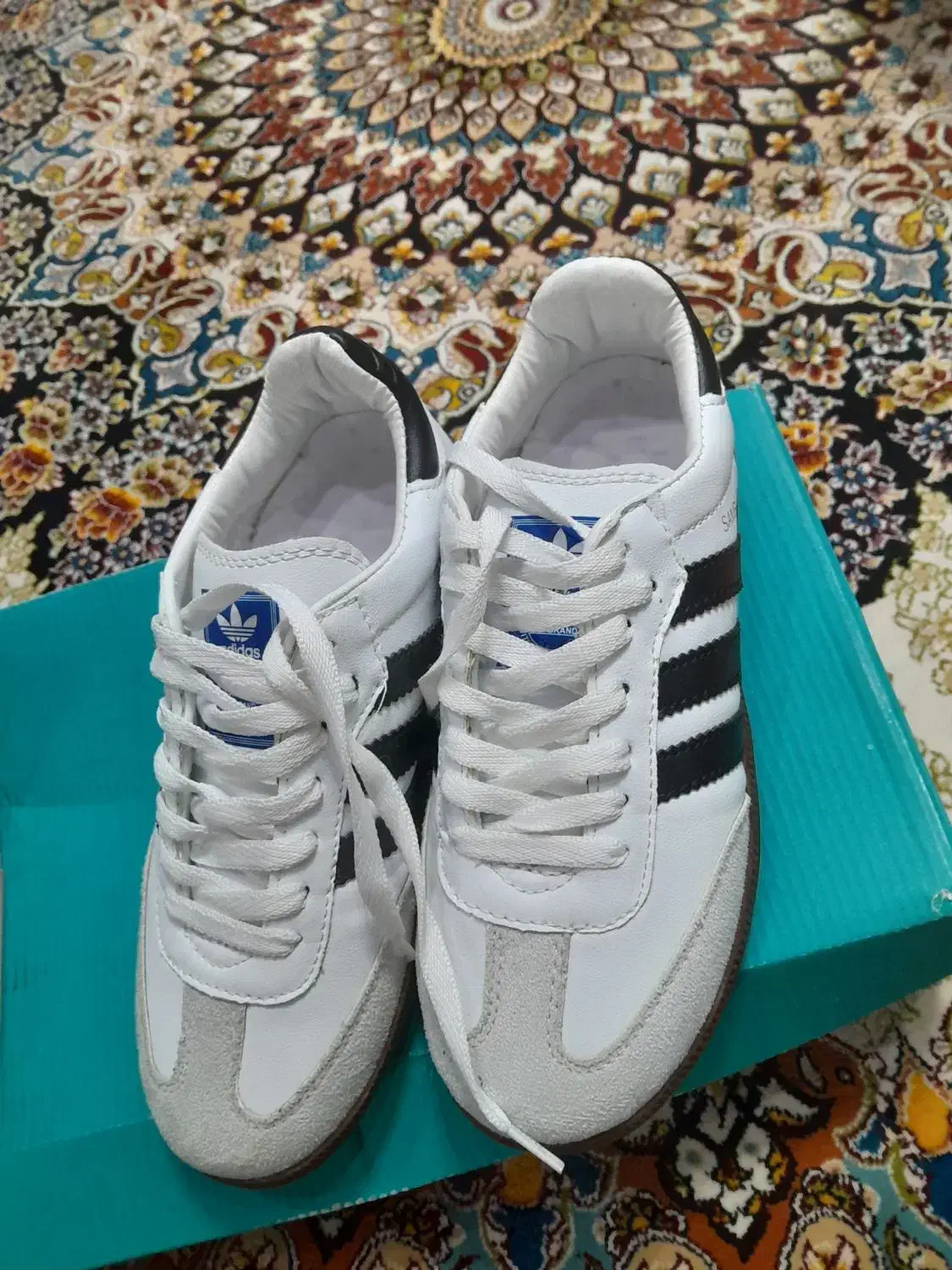 کفش|کیف، کفش، کمربند|اهواز, نبوت|دیوار