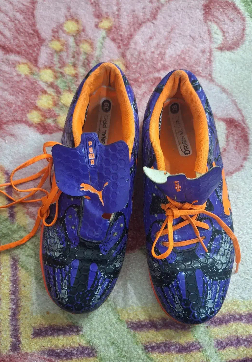 یه جفت کفش سالنی|کیف، کفش، کمربند|کبودرآهنگ, |دیوار