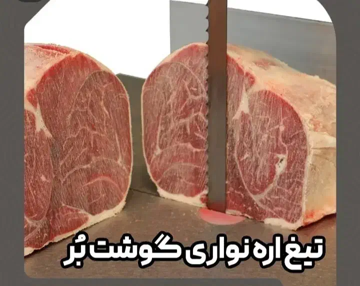 تیغ اره استخوان بر ماهی بر گوشت بر اهن بر|خدمات پیشه و مهارت|محمدشهر, شهرک چمران|دیوار