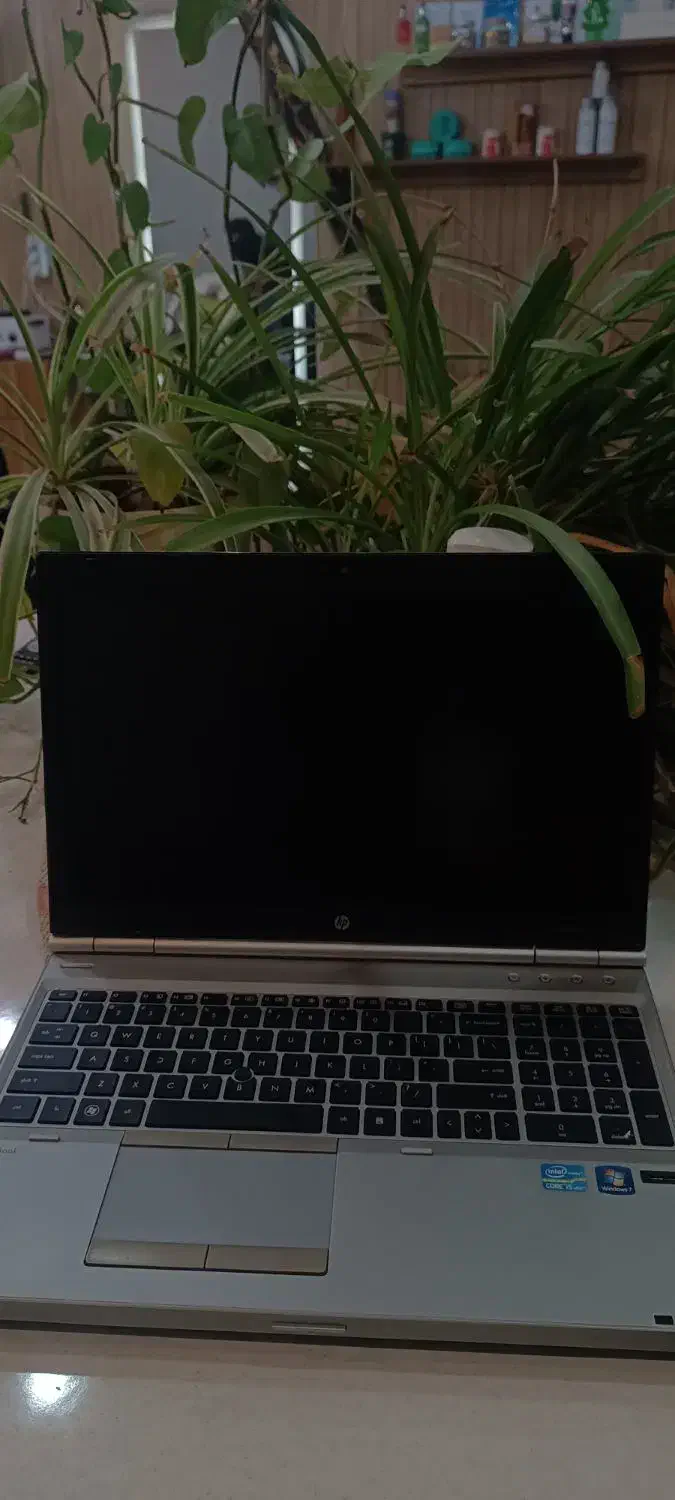 لپ تاپ HP|رایانه همراه|یزد, |دیوار