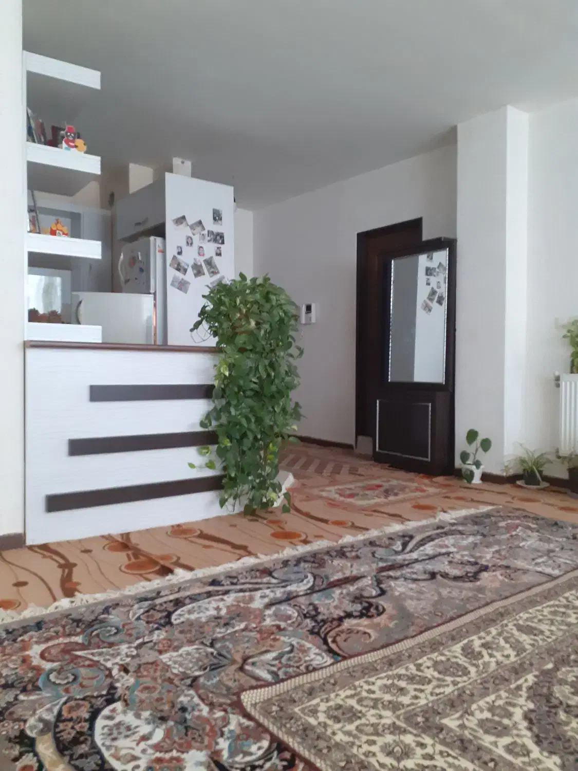 همخانه|اجارهٔ آپارتمان|شاهین‌شهر, شهرک هشت بهشت|دیوار