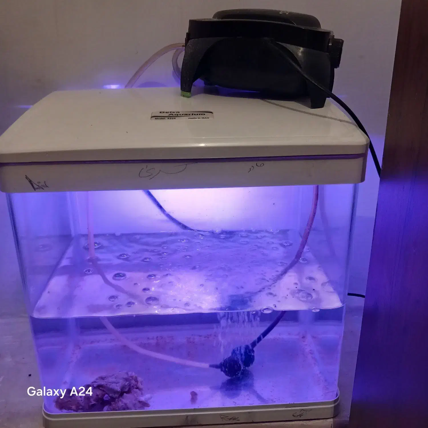 اکواریوم. درسال شرکتی|ماهی|مرودشت, ابوذر جنوبی|دیوار