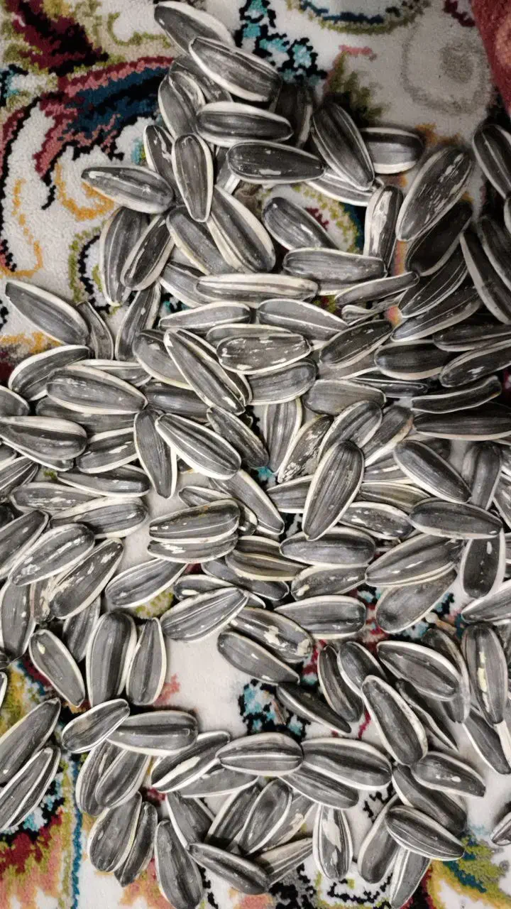 تخمه آفتابگردان|خوردنی و آشامیدنی|قروه, |دیوار