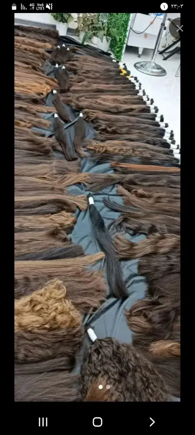 خریدارمو|آرایشی، بهداشتی، درمانی|مشهد, طبرسی شمالی|دیوار