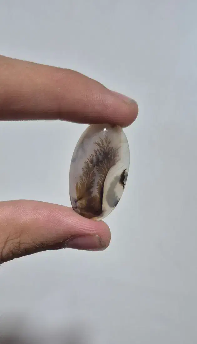 شجر قائن مناسب انگشتر و پلاک و دستبندهای کلکسیونی|جواهرات|تبریز, |دیوار