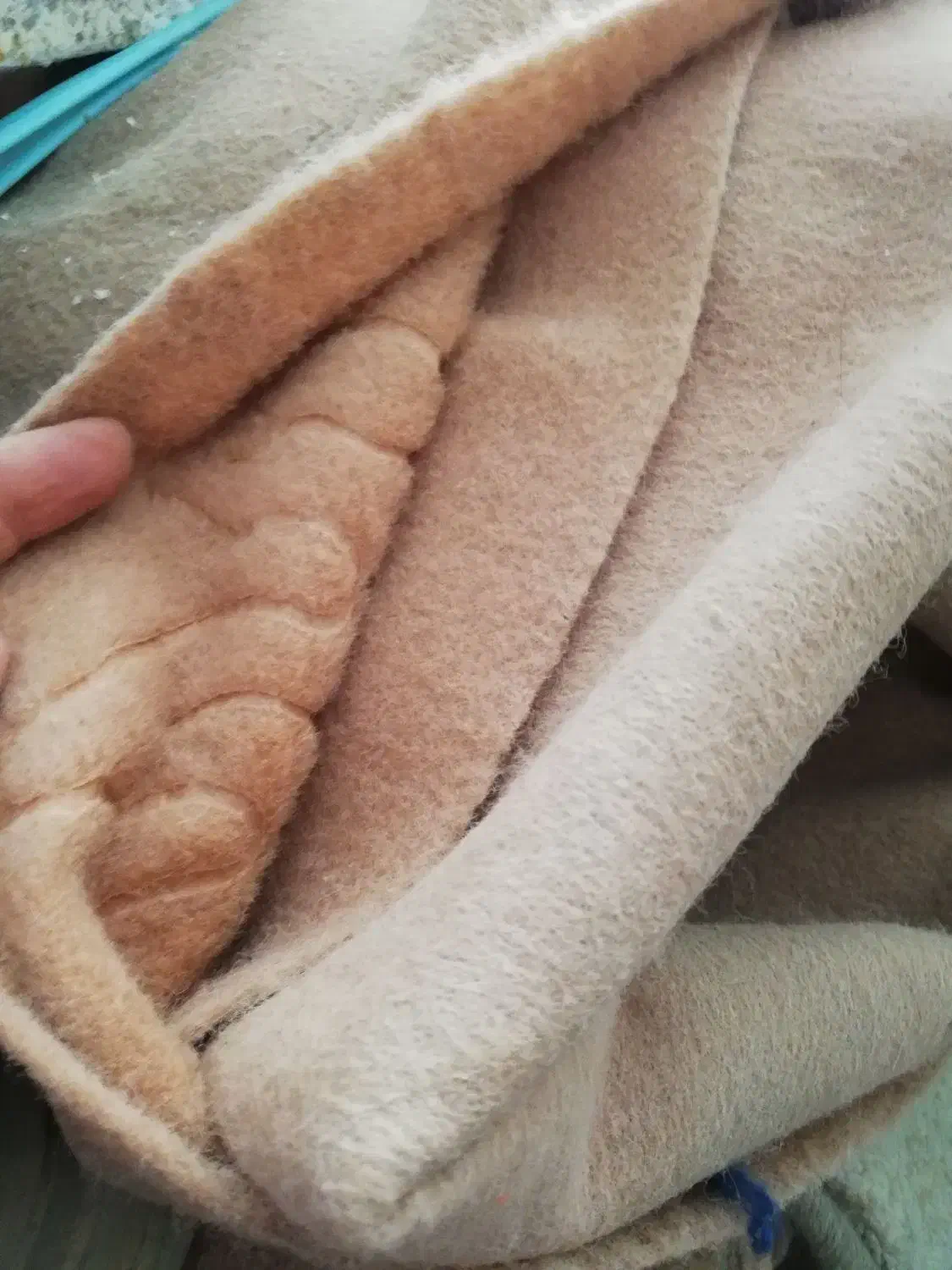 موکت فروشی|موکت|سنندج, |دیوار