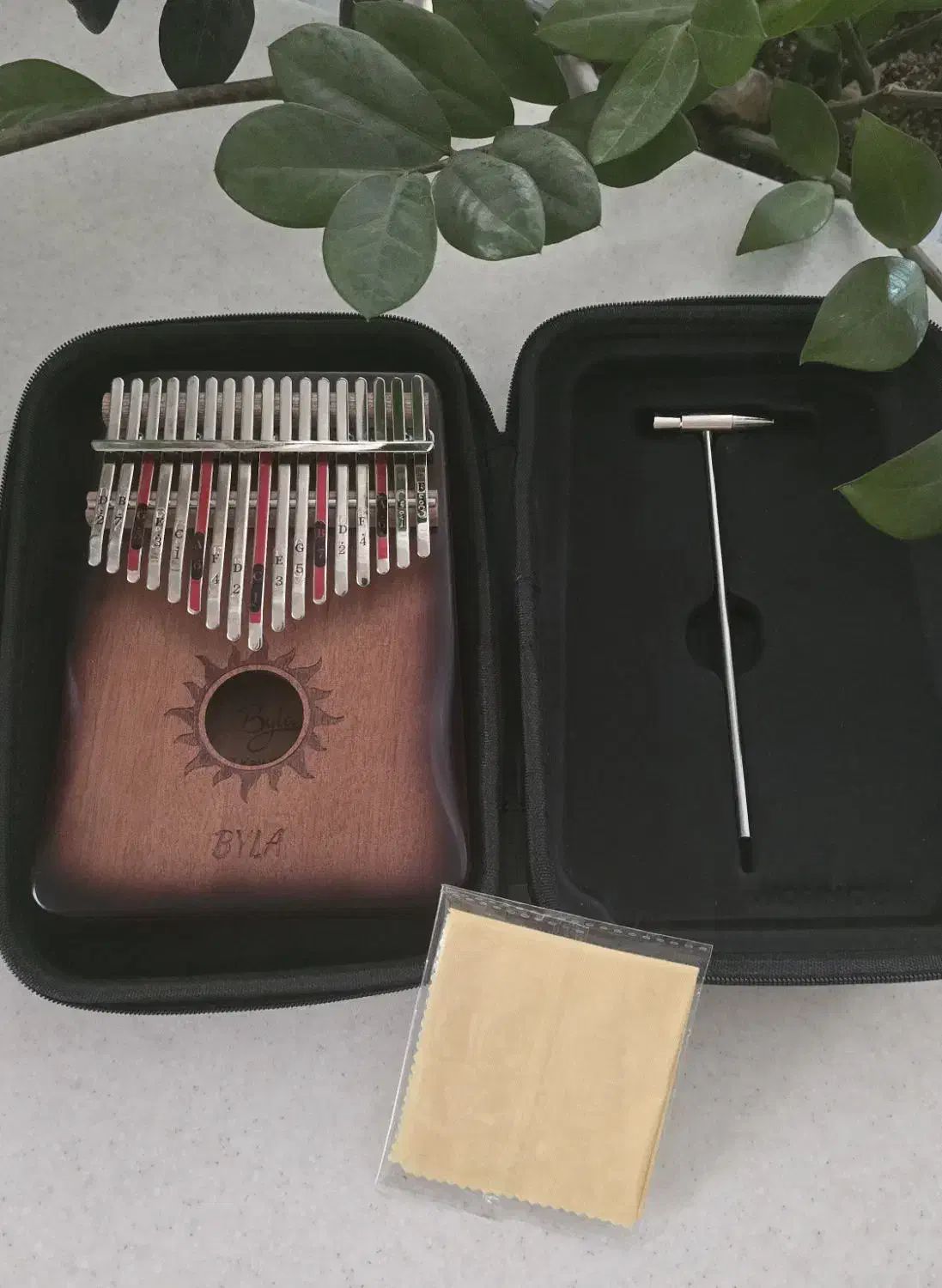 کالیمبا مدل Bkf01c|سازهای بادی|اصفهان, شاهزید|دیوار